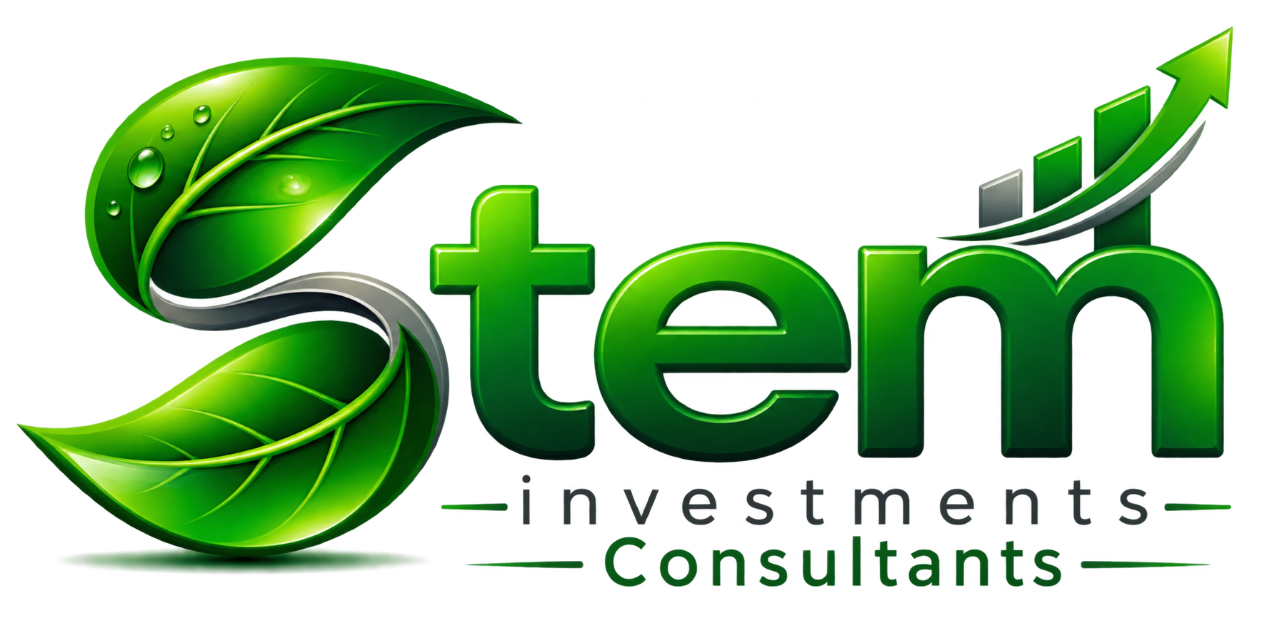Stem Investment Consultants